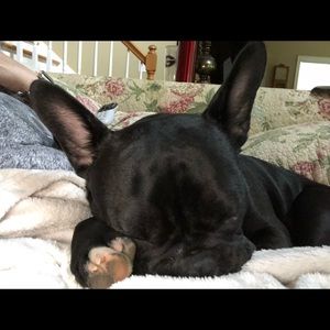 Meet your Posher, Jamie